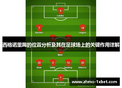 西格诺里踢的位置分析及其在足球场上的关键作用详解 西格诺里踢的位置分析及其在足球场上的关键作用详解