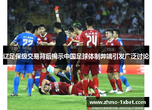 辽足保级交易背后揭示中国足球体制弊端引发广泛讨论