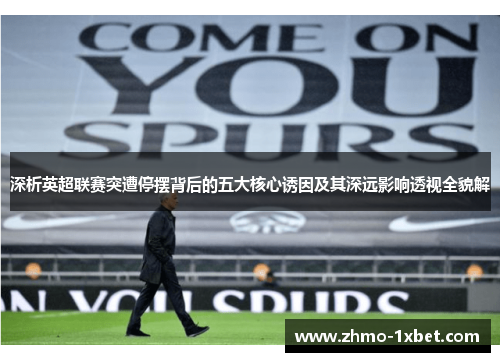 深析英超联赛突遭停摆背后的五大核心诱因及其深远影响透视全貌解 深析英超联赛突遭停摆背后的五大核心诱因及其深远影响透视全貌解